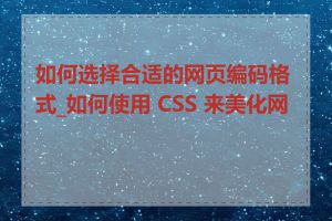 如何选择合适的网页编码格式_如何使用 CSS 来美化网页