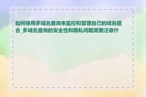 如何使用多域名查询来监控和管理自己的域名组合_多域名查询的安全性和隐私问题需要注意什么