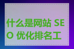 什么是网站 SEO 优化排名工具