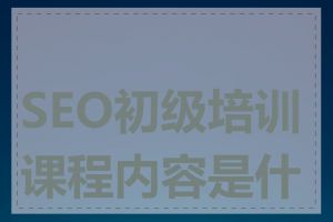 SEO初级培训课程内容是什么