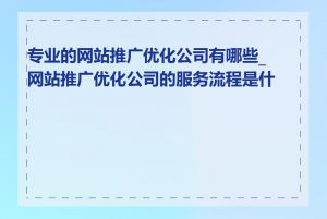 专业的网站推广优化公司有哪些_网站推广优化公司的服务流程是什么