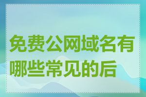 免费公网域名有哪些常见的后缀