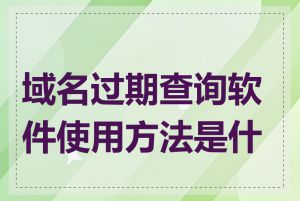 域名过期查询软件使用方法是什么