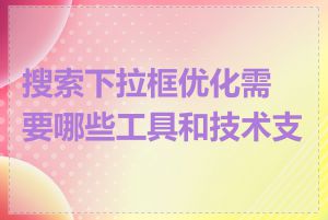 搜索下拉框优化需要哪些工具和技术支持