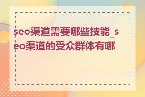 seo渠道需要哪些技能_seo渠道的受众群体有哪些