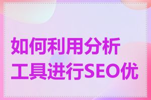 如何利用分析工具进行SEO优化