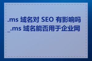 .ms 域名对 SEO 有影响吗_.ms 域名能否用于企业网站