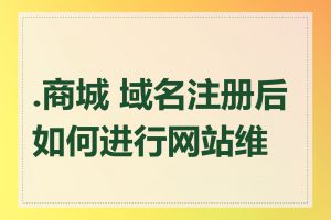 .商城 域名注册后如何进行网站维护