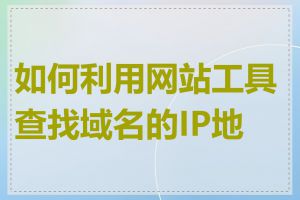 如何利用网站工具查找域名的IP地址