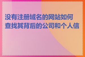 没有注册域名的网站如何查找其背后的公司和个人信息