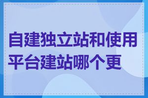 自建独立站和使用平台建站哪个更好