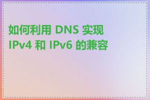 如何利用 DNS 实现 IPv4 和 IPv6 的兼容性