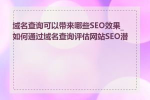 域名查询可以带来哪些SEO效果_如何通过域名查询评估网站SEO潜力