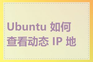 Ubuntu 如何查看动态 IP 地址