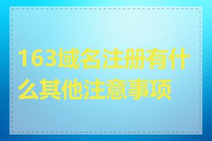 163域名注册有什么其他注意事项吗