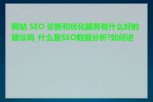 网站 SEO 诊断和优化服务有什么好的建议吗_什么是SEO数据分析?如何进行