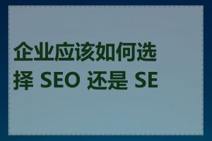 企业应该如何选择 SEO 还是 SEM