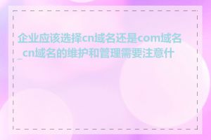 企业应该选择cn域名还是com域名_cn域名的维护和管理需要注意什么