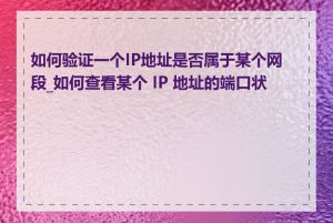 如何验证一个IP地址是否属于某个网段_如何查看某个 IP 地址的端口状态