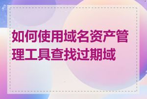 如何使用域名资产管理工具查找过期域名