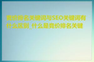 竞价排名关键词与SEO关键词有什么区别_什么是竞价排名关键词