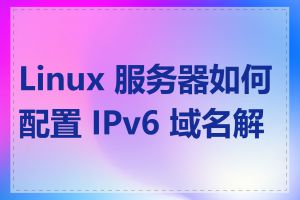 Linux 服务器如何配置 IPv6 域名解析