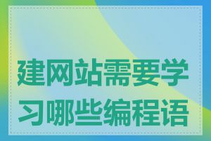 建网站需要学习哪些编程语言