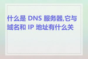 什么是 DNS 服务器,它与域名和 IP 地址有什么关系