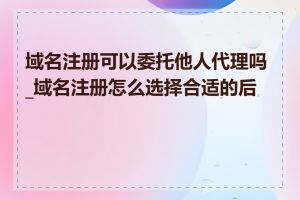 域名注册可以委托他人代理吗_域名注册怎么选择合适的后缀