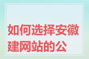 如何选择安徽建网站的公司