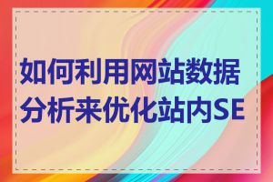 如何利用网站数据分析来优化站内SEO