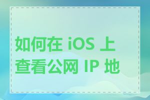 如何在 iOS 上查看公网 IP 地址