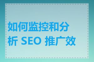 如何监控和分析 SEO 推广效果