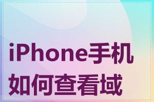 iPhone手机如何查看域名