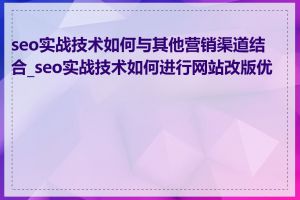 seo实战技术如何与其他营销渠道结合_seo实战技术如何进行网站改版优化