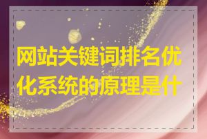 网站关键词排名优化系统的原理是什么