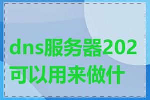 dns服务器202可以用来做什么