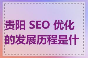 贵阳 SEO 优化的发展历程是什么