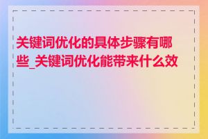 关键词优化的具体步骤有哪些_关键词优化能带来什么效果