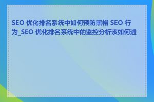 SEO 优化排名系统中如何预防黑帽 SEO 行为_SEO 优化排名系统中的监控分析该如何进行