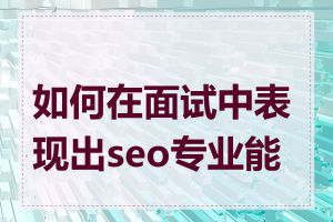 如何在面试中表现出seo专业能力