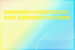 批量查询域名DNS的数据可视化方法有哪些_批量查询域名DNS的工具有哪些