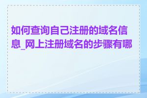 如何查询自己注册的域名信息_网上注册域名的步骤有哪些