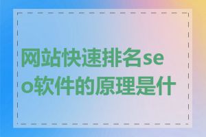 网站快速排名seo软件的原理是什么