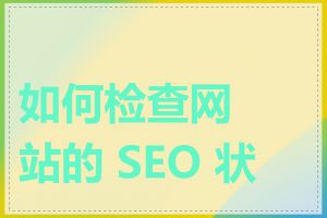 如何检查网站的 SEO 状态