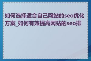 如何选择适合自己网站的seo优化方案_如何有效提高网站的seo排名