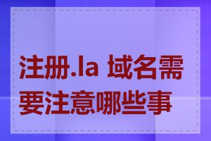 注册.la 域名需要注意哪些事项