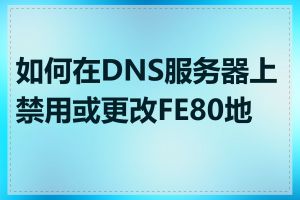 如何在DNS服务器上禁用或更改FE80地址