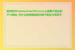 如何在Windows/macOS/Linux上查看IP地址和IPv4地址_为什么有些网站显示的IP地址与实际不同