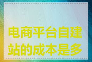 电商平台自建站的成本是多少